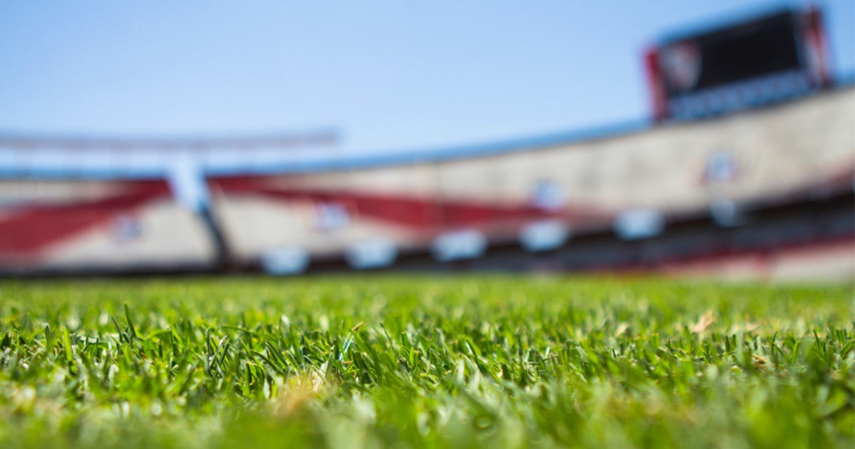 Sports stadium with a focus on the grass